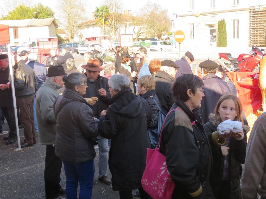 Boeufs gras Toulenne