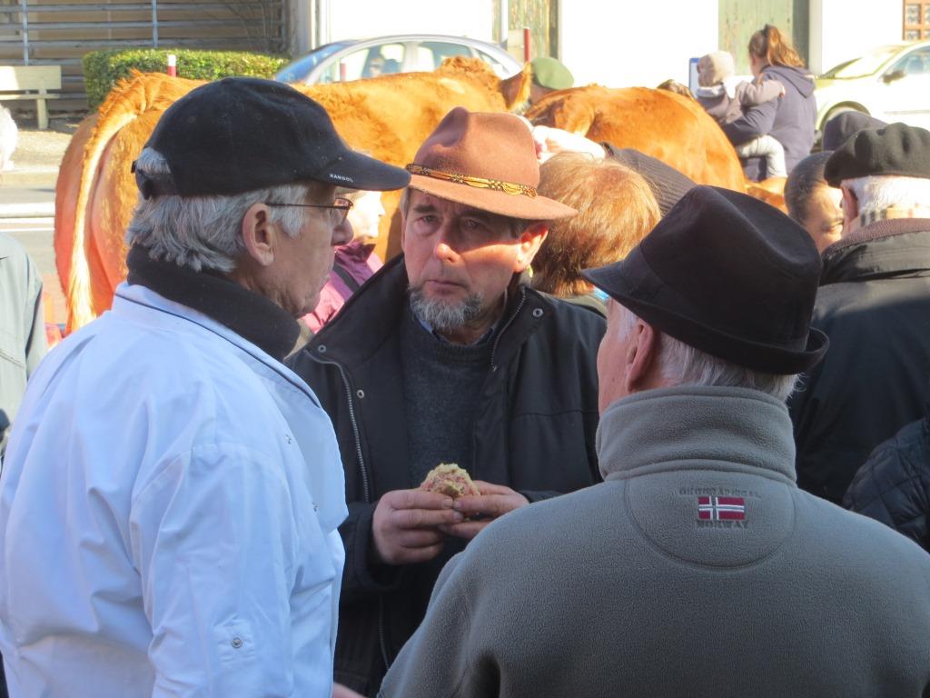 Boeufs gras Toulenne