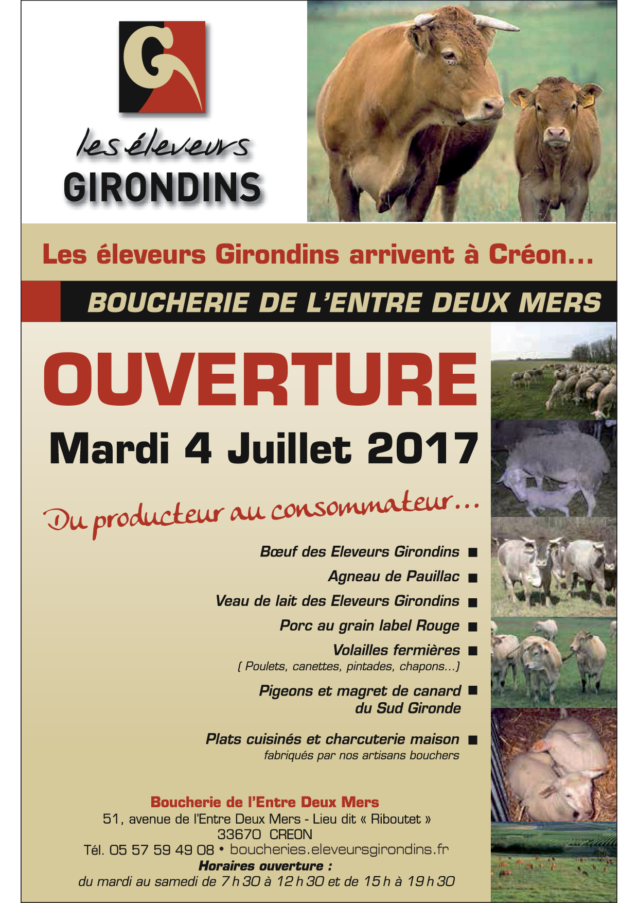 Flyer ouverture avec adresse site boucheries