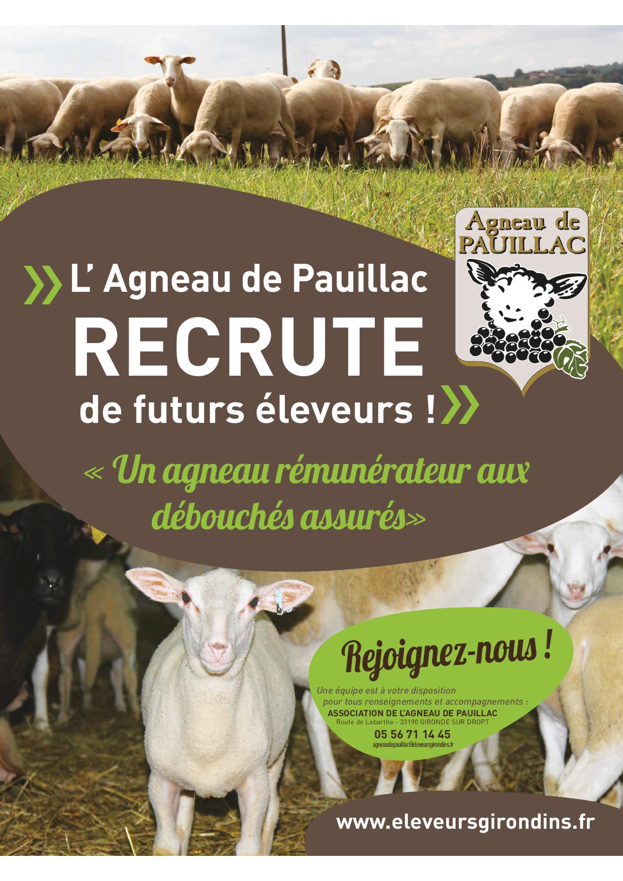 Affiche Agneau de Pauillac